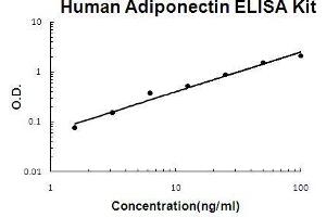 Human Adiponectin PicoKine ELISA Kit standard curve