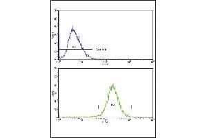 Flow cytometric analysis of HepG2 cells using SCP2 Antibody (Center)(bottom histogram) compared to a negative control cell (top histogram).