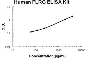Human FLRG/FSTL3 AccuSignal ELISA Kit standard curve.