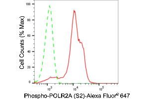 Flow cytometric analysis of Phospho-POLR2A (S2) expression in HeLa cells using Phospho-POLR2A (S2) antibody (ABIN7800262), 1:2,000). (Recombinant POLR2A/RPB1 anticorps  (pSer2))