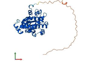AlphaFold protein structure predicition of Human Recombinant CLVS2 Protein, UniprotID Q5SYC1