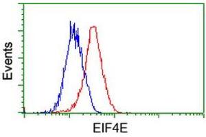 Flow cytometric Analysis of Hela cells, using anti-EIF4E antibody (ABIN2454644), (Red), compared to a nonspecific negative control antibody, (Blue). (EIF4E anticorps)