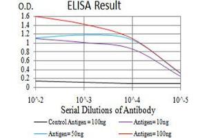 Black line: Control Antigen (100 ng);Purple line: Antigen (10ng); Blue line: Antigen (50 ng); Red line:Antigen (100 ng) (IDH1 anticorps  (AA 156-298))