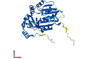 AlphaFold protein structure predicition of Human Recombinant METTL6 Protein, UniprotID Q8TCB7