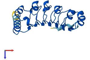 AlphaFold protein structure predicition of Human Recombinant LRRC20 Protein, UniprotID Q8TCA0