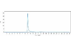 The purity of Anti-VEGFB Reference Antibody (CSL346) is 98. (Recombinant VEGFB anticorps)
