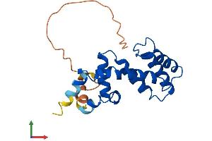 AlphaFold protein structure predicition of Mouse Recombinant Rgs8 Protein, UniprotID Q8BXT1