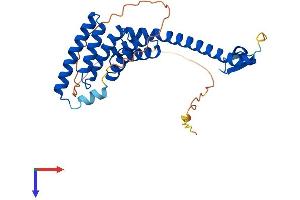 AlphaFold protein structure predicition of Mouse Recombinant Ttc1 Protein, UniprotID Q91Z38