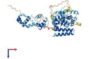 AlphaFold protein structure predicition of Human Recombinant TIGD3 Protein, UniprotID Q6B0B8