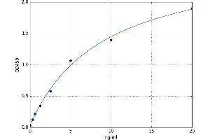 Glucose-6-Phosphate Isomerase (GPI) ELISA Kit