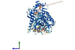 AlphaFold protein structure predicition of Human Recombinant HSPA12B Protein, UniprotID Q96MM6