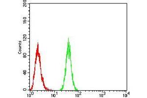 Flow cytometric analysis of Hela cells using BMP2 mouse mAb (green) and negative control (red).