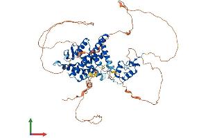 AlphaFold protein structure predicition of Human Recombinant ESR1 Protein, UniprotID P03372
