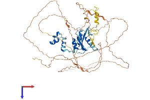 AlphaFold protein structure predicition of Human Recombinant SOCS6 Protein, UniprotID O14544