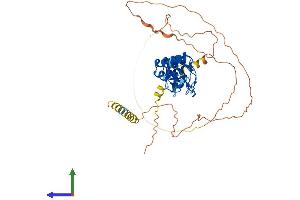 AlphaFold protein structure predicition of Human Recombinant ANKRD10 Protein, UniprotID Q9NXR5