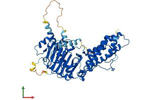 AlphaFold protein structure predicition of Human Recombinant FTO Protein, UniprotID Q9C0B1