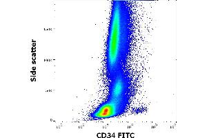 Flow cytometry surface staining pattern of human peripheral whole blood stained using anti-human CD34 (4H11[APG]) FITC antibody (20 μL reagent / 100 μL of peripheral whole blood). (CD34 anticorps  (FITC))