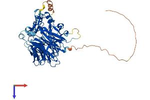 AlphaFold protein structure predicition of Mouse Recombinant Bco1 Protein, UniprotID Q9JJS6