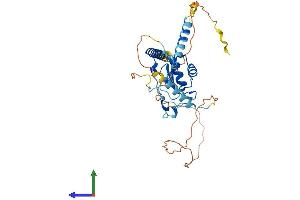 AlphaFold protein structure predicition of Human Recombinant RBM48 Protein, UniprotID Q5RL73
