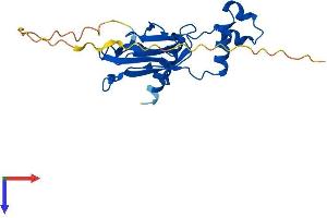 AlphaFold protein structure predicition of Human Recombinant VHL Protein, UniprotID P40337