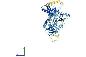 AlphaFold protein structure predicition of Mouse Recombinant Psmc3 Protein, UniprotID O88685