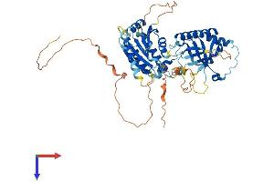AlphaFold protein structure predicition of Human Recombinant M1AP Protein, UniprotID Q8TC57