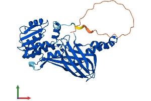 AlphaFold protein structure predicition of Mouse Recombinant Prmt6 Protein, UniprotID Q6NZB1
