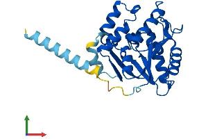 AlphaFold protein structure predicition of Mouse Recombinant Pigl Protein, UniprotID Q5SX19