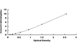 Intercellular Adhesion Molecule 4 (ICAM4) ELISA Kit