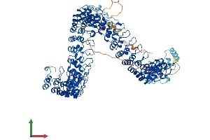 AlphaFold protein structure predicition of Human Recombinant ANKRD28 Protein, UniprotID O15084