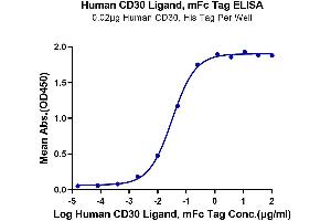 Immobilized Human CD30, His Tag at 0.