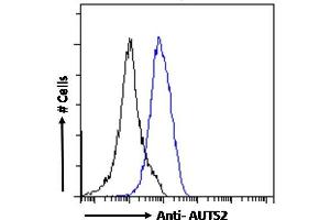 anti-Autism Susceptibility Candidate 2 (AUTS2) (C-Term) antibody