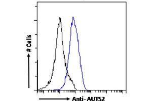 ABIN308459 Flow cytometric analysis of paraformaldehyde fixed A431 cells (blue line), permeabilized with 0. (AUTS2 anticorps  (C-Term))