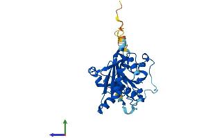 AlphaFold protein structure predicition of Mouse Recombinant Mettl1 Protein, UniprotID Q9Z120