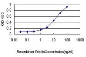 Detection limit for recombinant GST tagged RIOK3 is approximately 0. (RIOK3 anticorps  (AA 1-516))