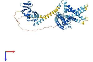 AlphaFold protein structure predicition of Mouse Recombinant Kcns3 Protein, UniprotID Q8BQZ8