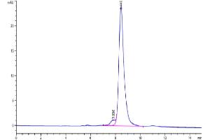 The purity of Biotinylated Human CD3E&CD3G is greater than 95 % as determined by SEC-HPLC.