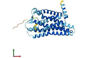 AlphaFold protein structure predicition of Human Recombinant OR1A1 Protein, UniprotID Q9P1Q5