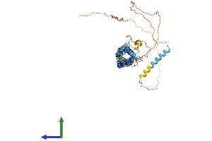 AlphaFold protein structure predicition of Human Recombinant MARVELD3 Protein, UniprotID Q96A59