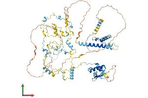 AlphaFold protein structure predicition of Human Recombinant NCAPH Protein, UniprotID Q15003