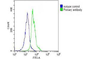 Overlay histogram showing THP-1 cells stained with Antibody (green line).