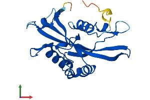 AlphaFold protein structure predicition of Human Recombinant NUDT16 Protein, UniprotID Q96DE0