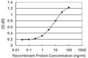 Detection limit for recombinant GST tagged DDO is 0.