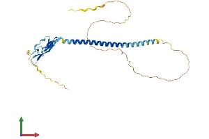 AlphaFold protein structure predicition of Mouse Recombinant Susd3 Protein, UniprotID Q9D176