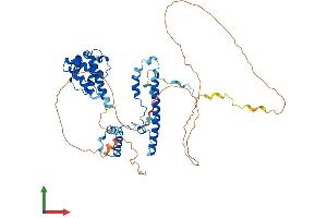 AlphaFold protein structure predicition of Mouse Recombinant Fam98a Protein, UniprotID Q3TJZ6