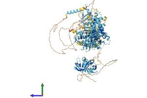 AlphaFold protein structure predicition of Mouse Recombinant Pex1 Protein, UniprotID Q5BL07