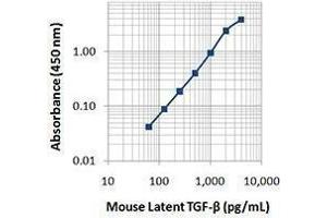 anti-Leucine Peptidase antibody (Biotin)