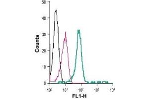Cell surface detection of P2RX7 in live intact human THP-1 monocytic leukemia cells: (black line) Cells.