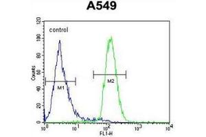 Flow cytometric analysis of A549 cells using CD85h / LILRA2 Antibody (Center) Cat.
