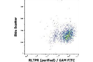 Flow cytometry surface staining pattern of RLTPR transfected cells stained using anti-human RLTPR (EM-53) purified antibody (concentration in sample 9 μg/mL) GAM FITC.